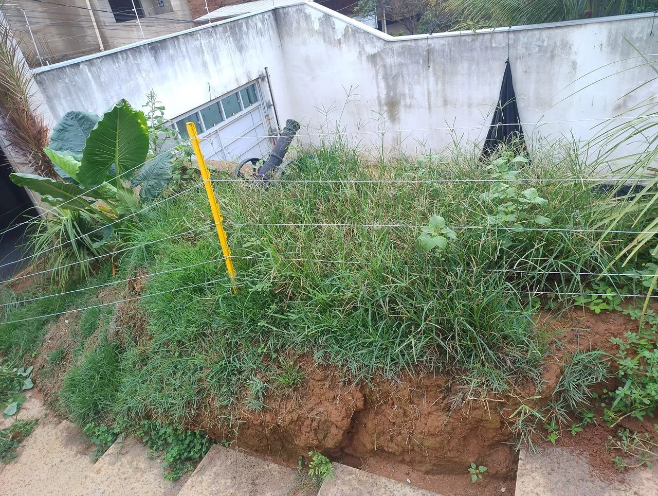 Serviço de jardinagem  - Foto 3