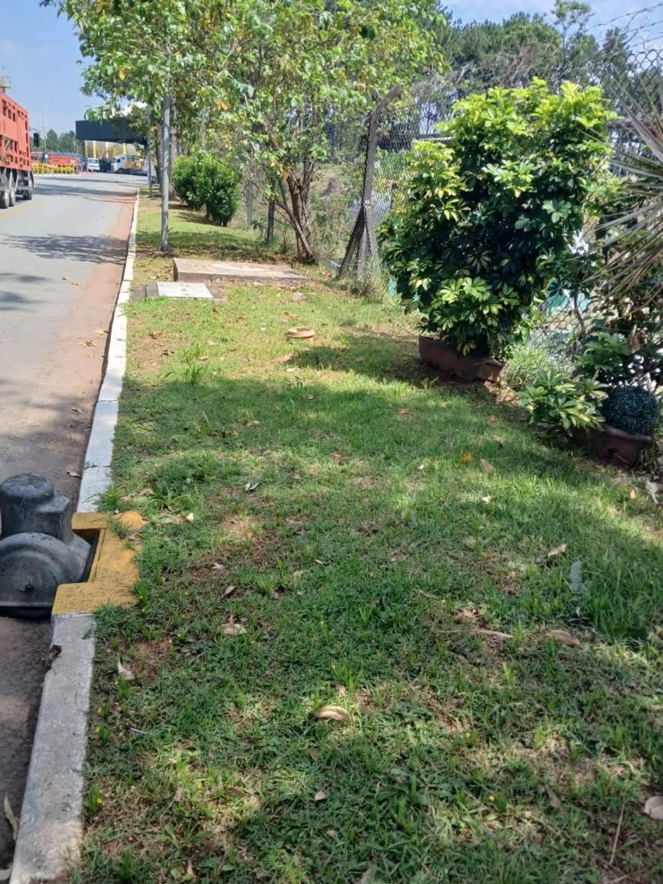 Jardim com grama e plantas