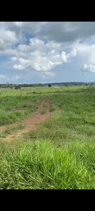 *OPORTUNIDADE PARA INVESTIDORES - FAZ. ESTRUTURADA NA BEIRA DA BR 364 - PORTO VELHO* - Foto 4