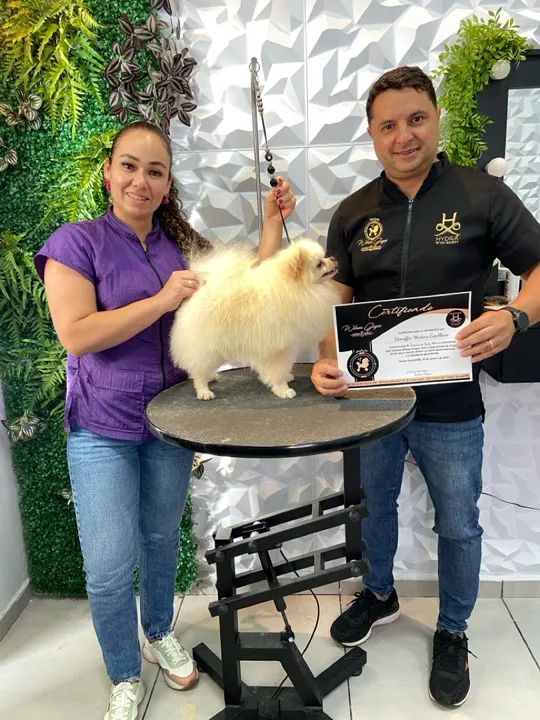 Curso de banho e tosa  - Foto 3
