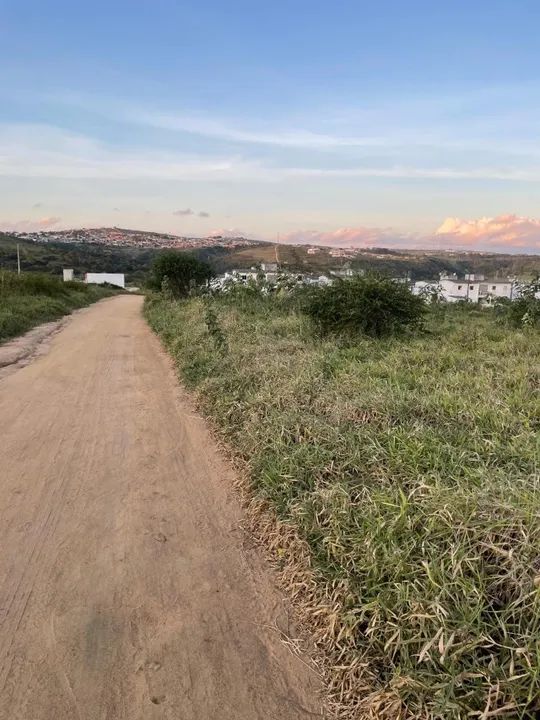 Lote 10x22 Loteamento Manoel Camelo - Garanhuns/PE - Foto 4