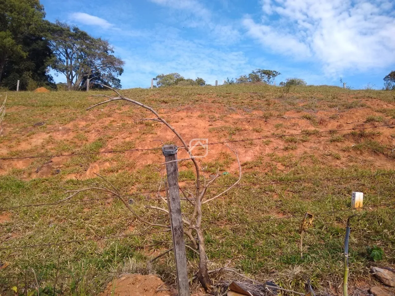 LOTE/TERRENO PARA VENDA COM 200M² NA CIDADE DE DIVINOLÂNDIA - SP.