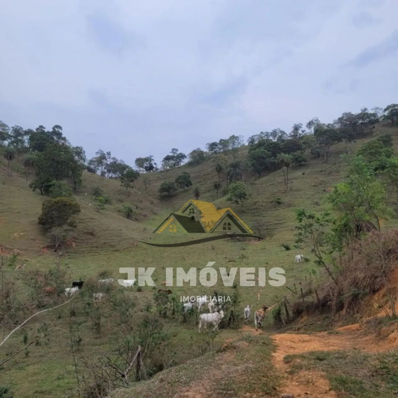 Fazenda de 41 hectares em Mateus leme - Foto 2