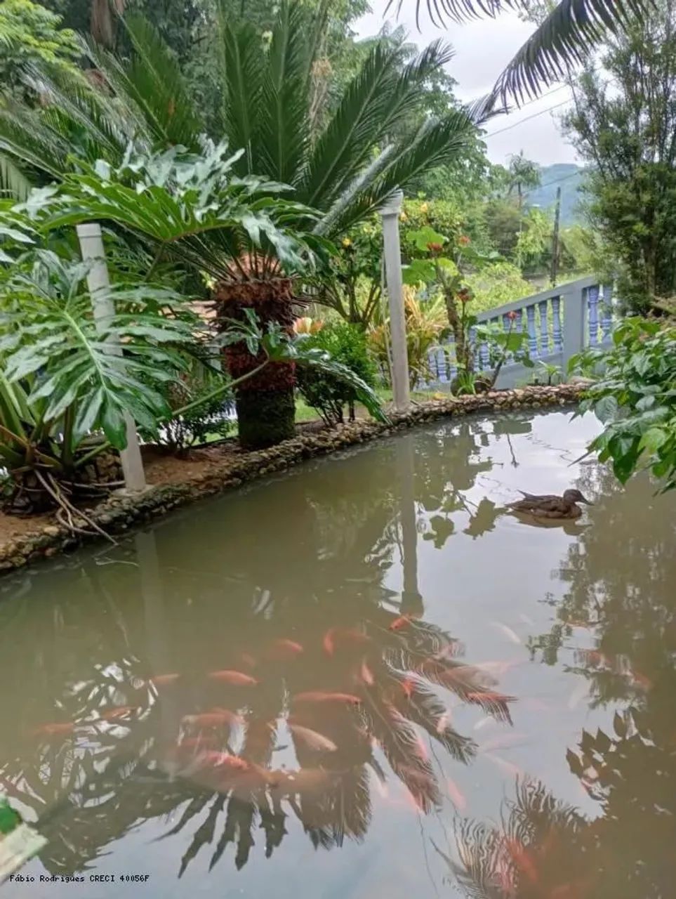 Sítio para Venda em Blumenau, Progresso, 5 dormitórios, 2 banheiros, 2 vagas