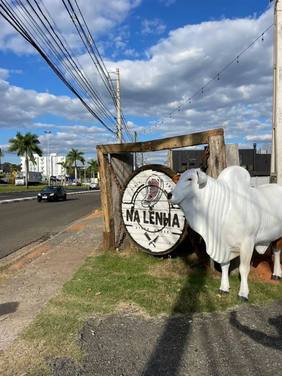Animais de Fibra64310583832579123