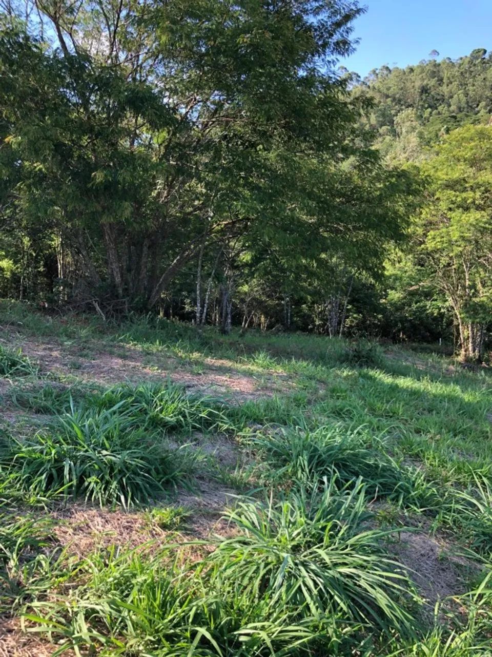 Terreno 1700m2 - Ponunduva - Cajamar - SP - Foto 2