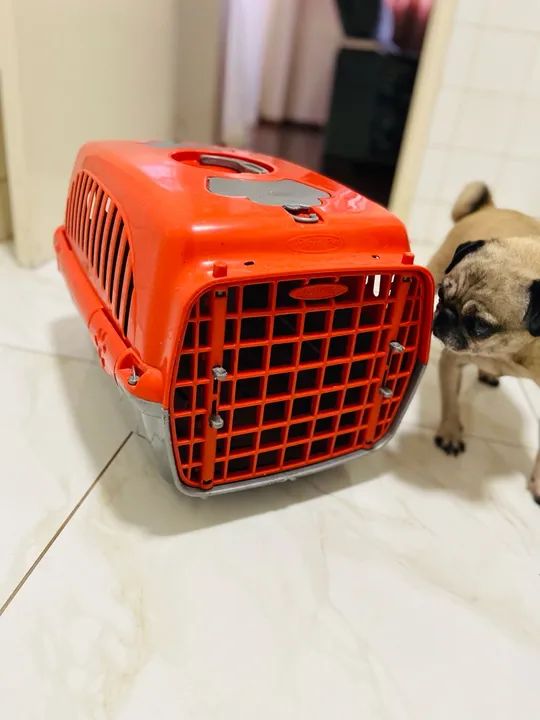 Caixa de transporte Pet Tamanho M pequeno porte  - Foto 5