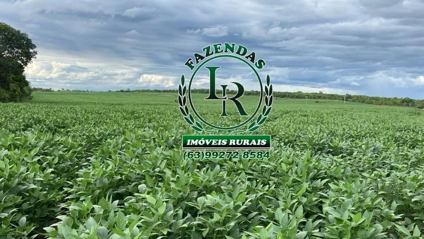 Fazenda 174 Alqueires Agricultura e Pecuária