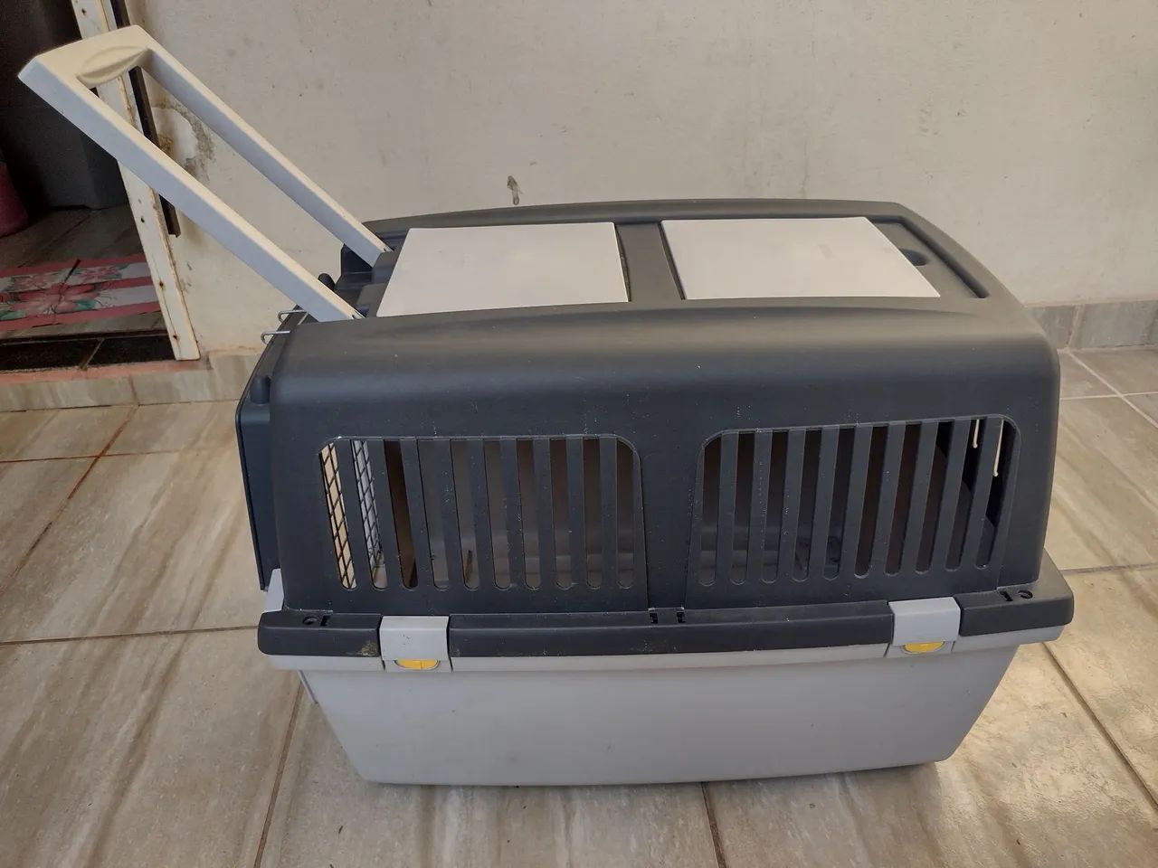 Pet64314061578883120