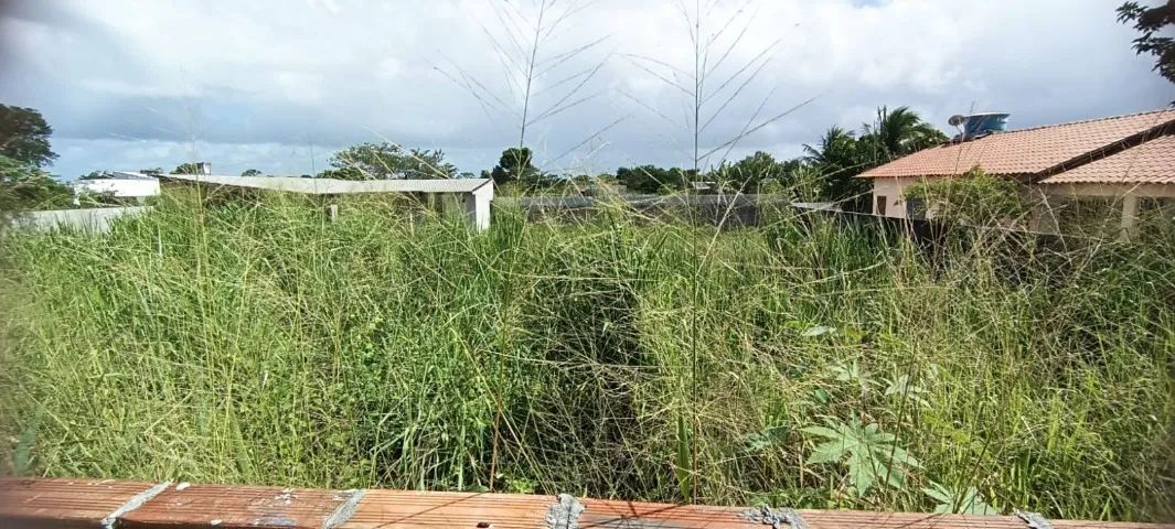 LIMPEZA E MANUTENÇÃO DE TERRENOS - Foto 5