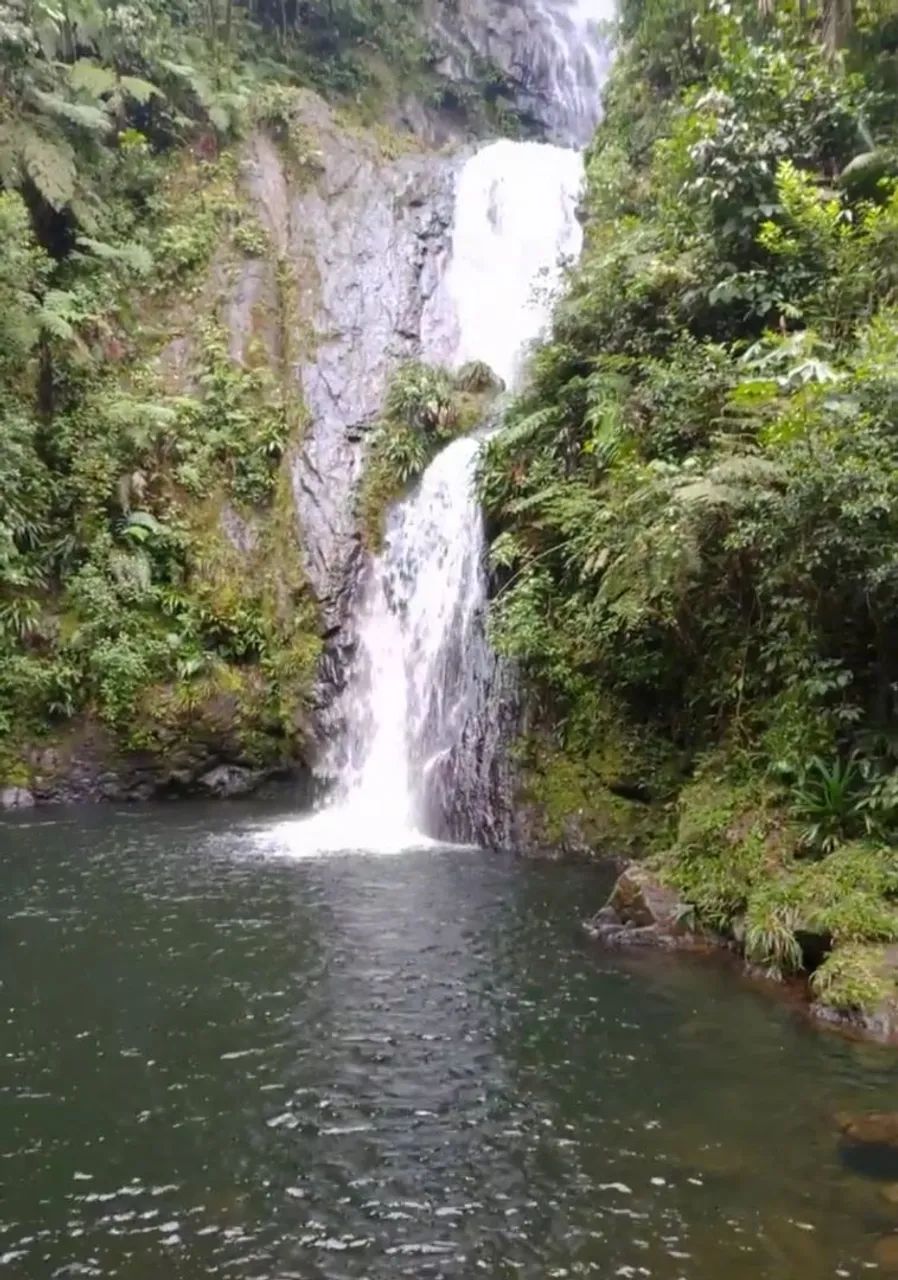 Foto - São Bernardo do Campo - Vila Vianas