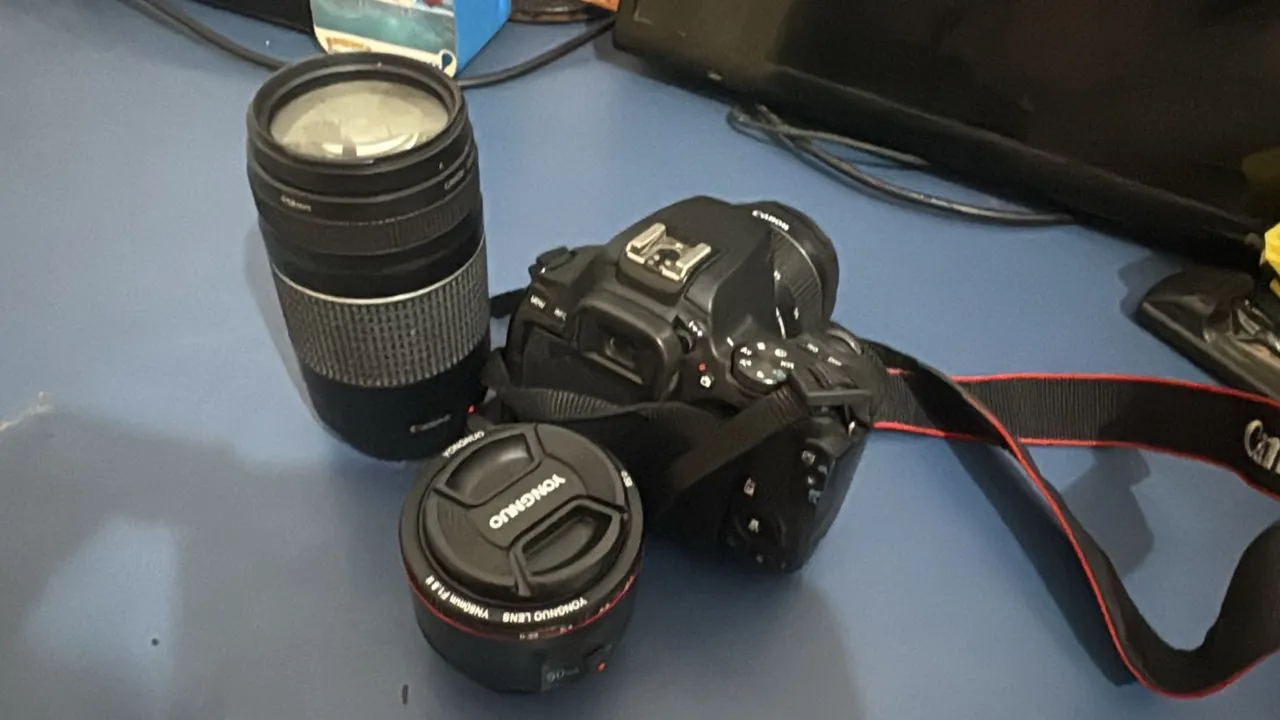 Canon Sl3 Câmera DSLR com Lentes