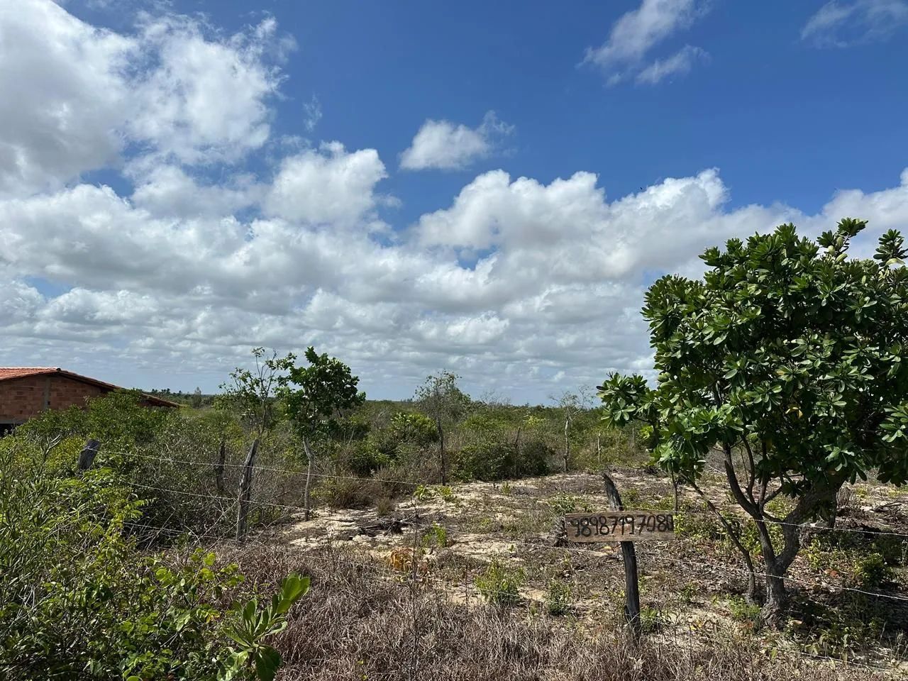 Terreno em barreirinha  - Foto 3