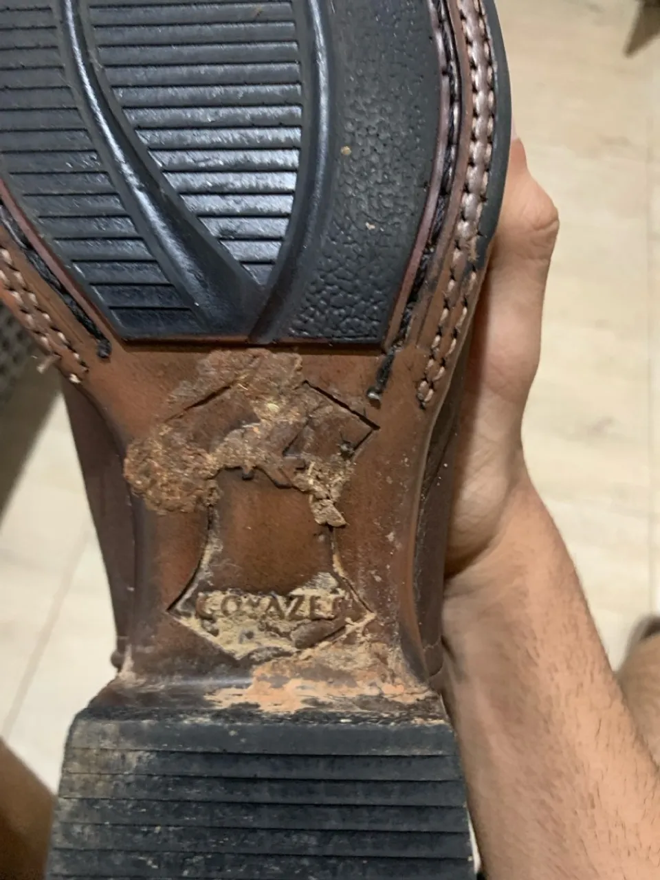 Bota goyazes