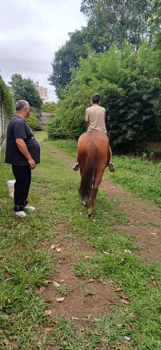 Cavalo para crianças e adultos  - Foto 3