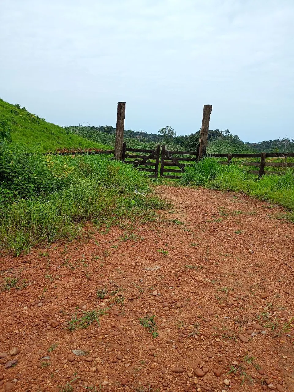 Vendo fazenda toda no jeito 212 equitarie.