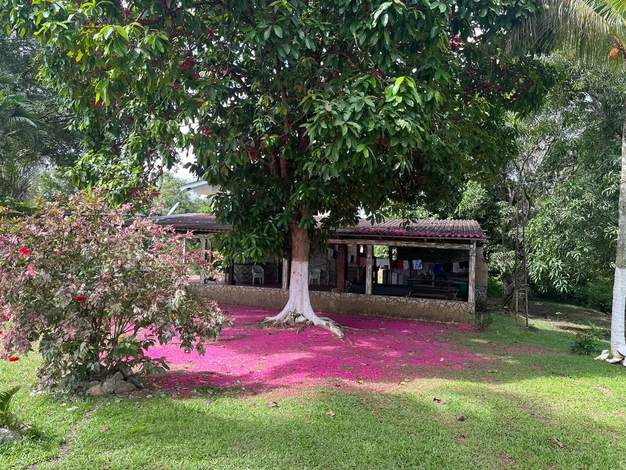 Alugo Chácara para eventos.