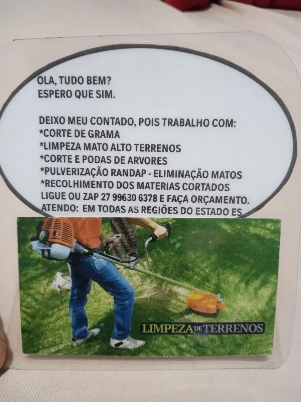 LIMPEZA DE TERRENO 