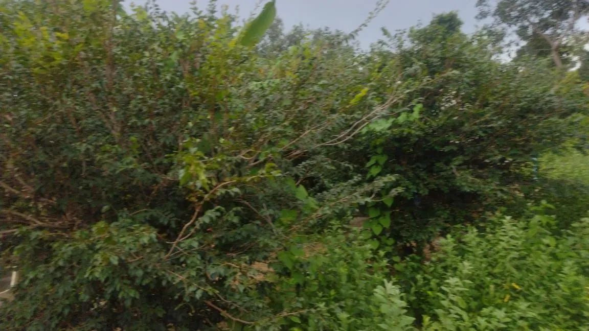 Chácara com preço de oportunidade!!! - Foto 3