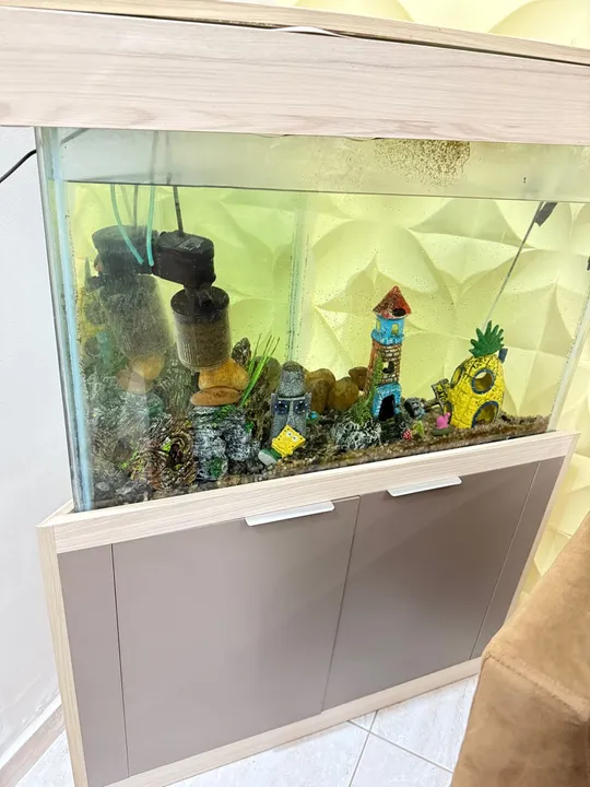 Aquário de Canto com Armário