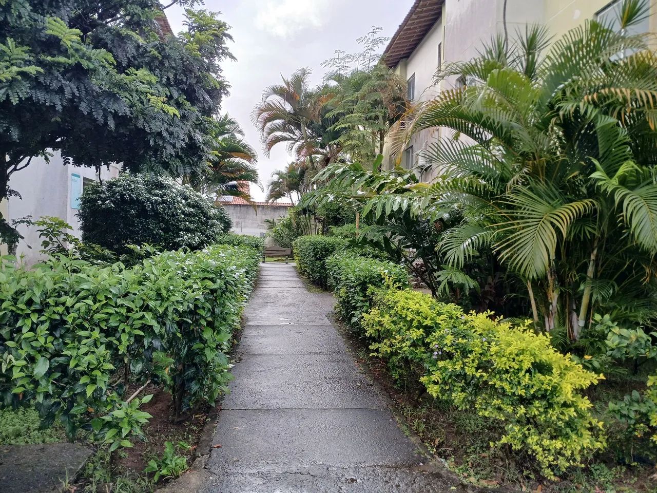 Foto - Maceió - Tabuleiro do Martins