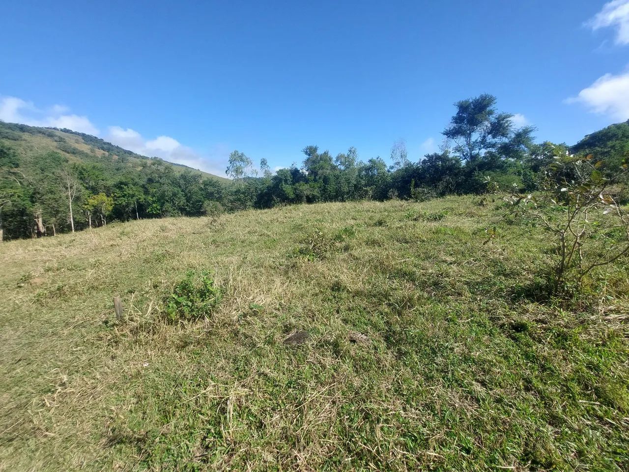 Sítio com muita água - Foto 4