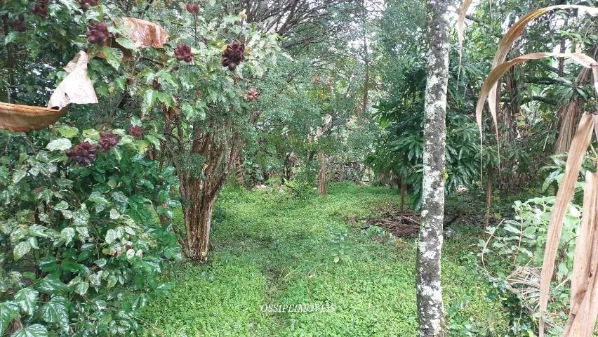 Atibaia chácara 1200m casa simples  - Foto 5