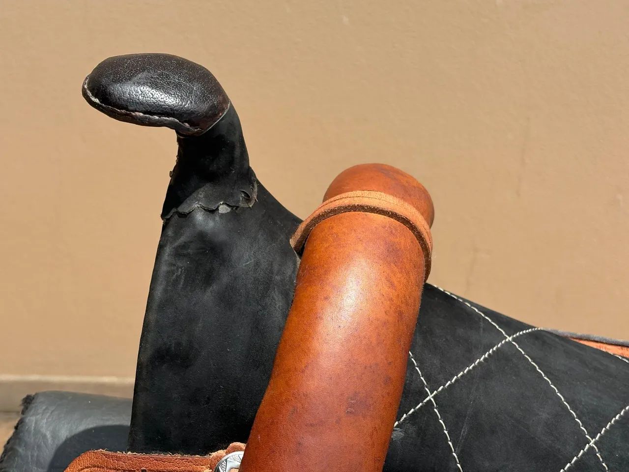 Sela americana  - Foto 4