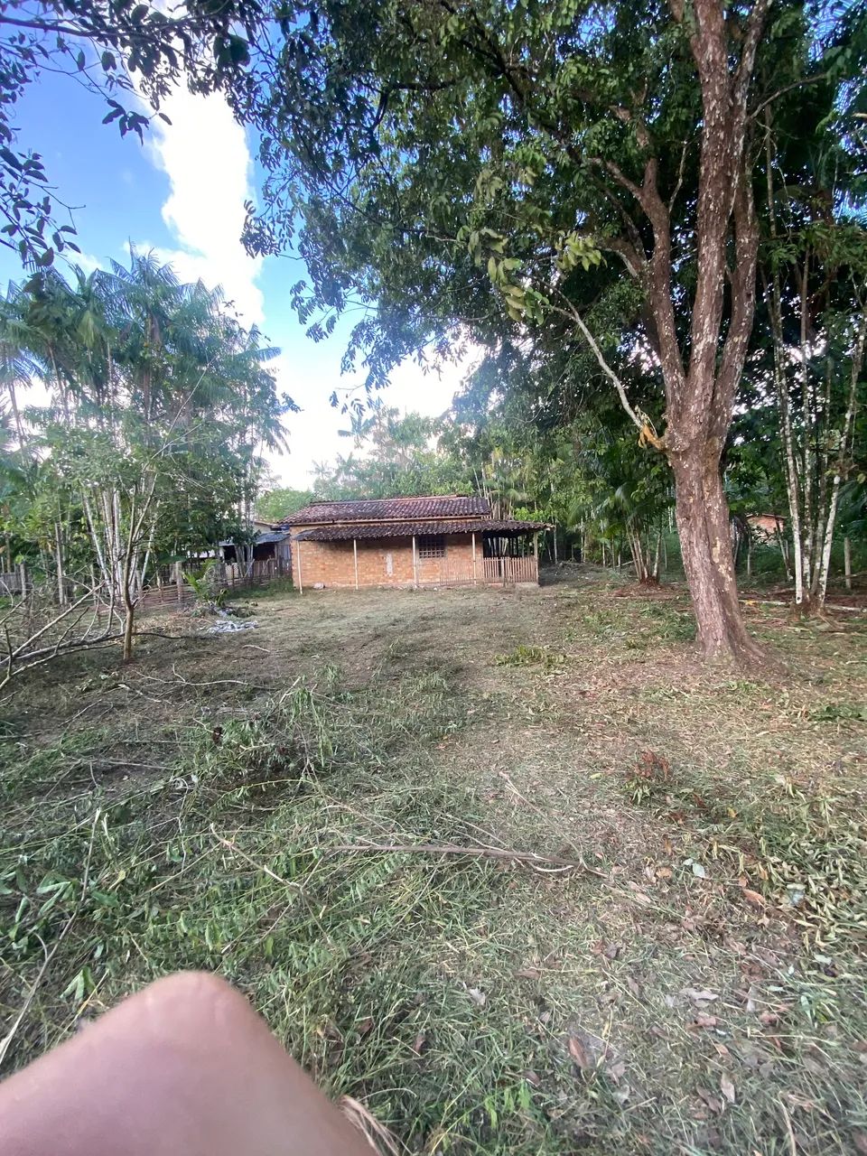 Vendo este terreno  - Foto 4