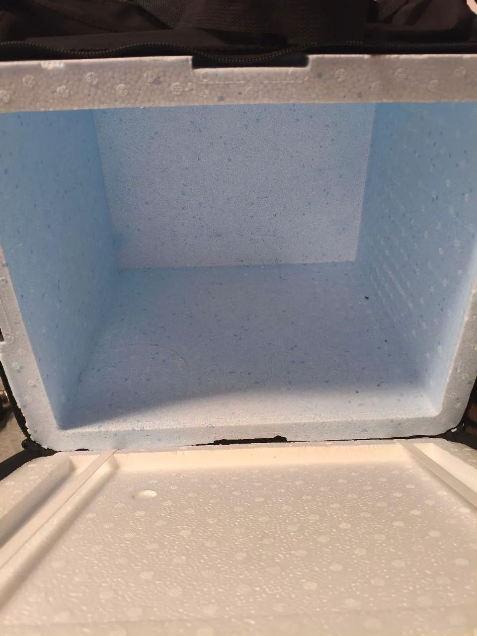 Bag de Delivery - Foto 4