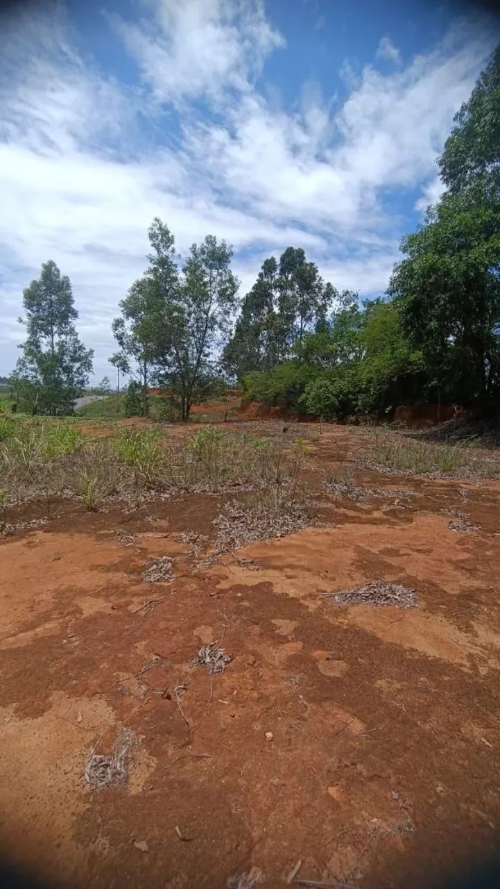 Terreno a venda em jardim América  - Foto 7