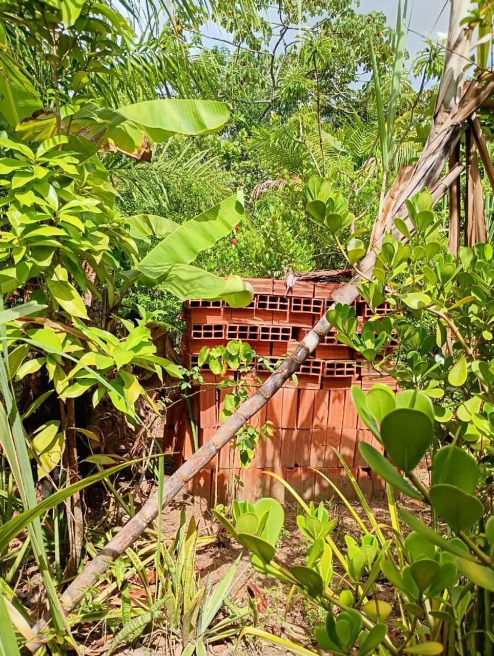 Terreno a venda (oportunidade) - Foto 3