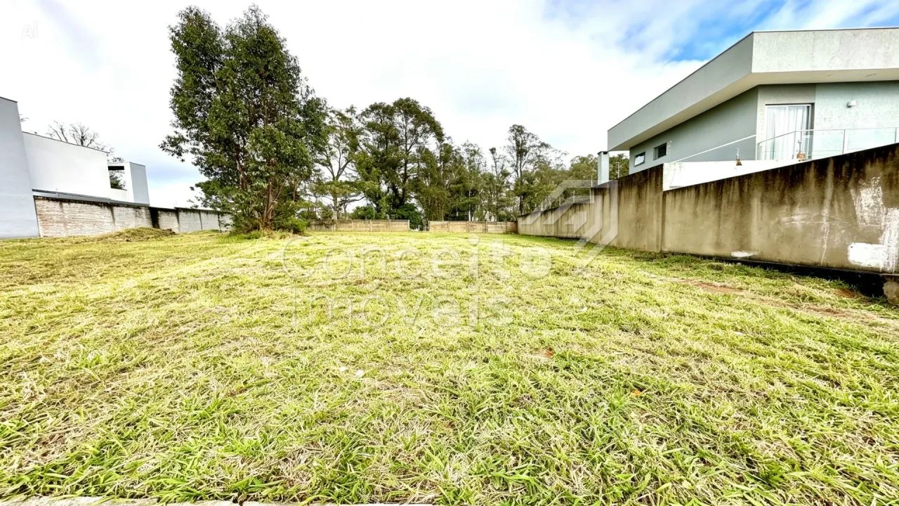 Terreno com 312 m² - Jardim Carvalho - Foto 3