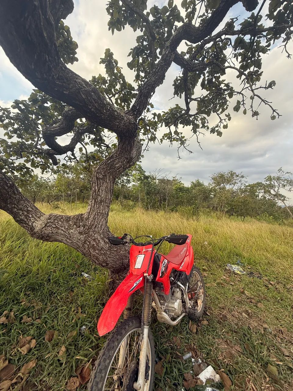VENDO CRF E EQUIPAMENTOS - Foto 3