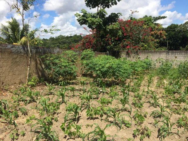 Terreno 1.000m2 de 20x50 - Condomínio Recanto de Aldeia KM 12! - Foto 9