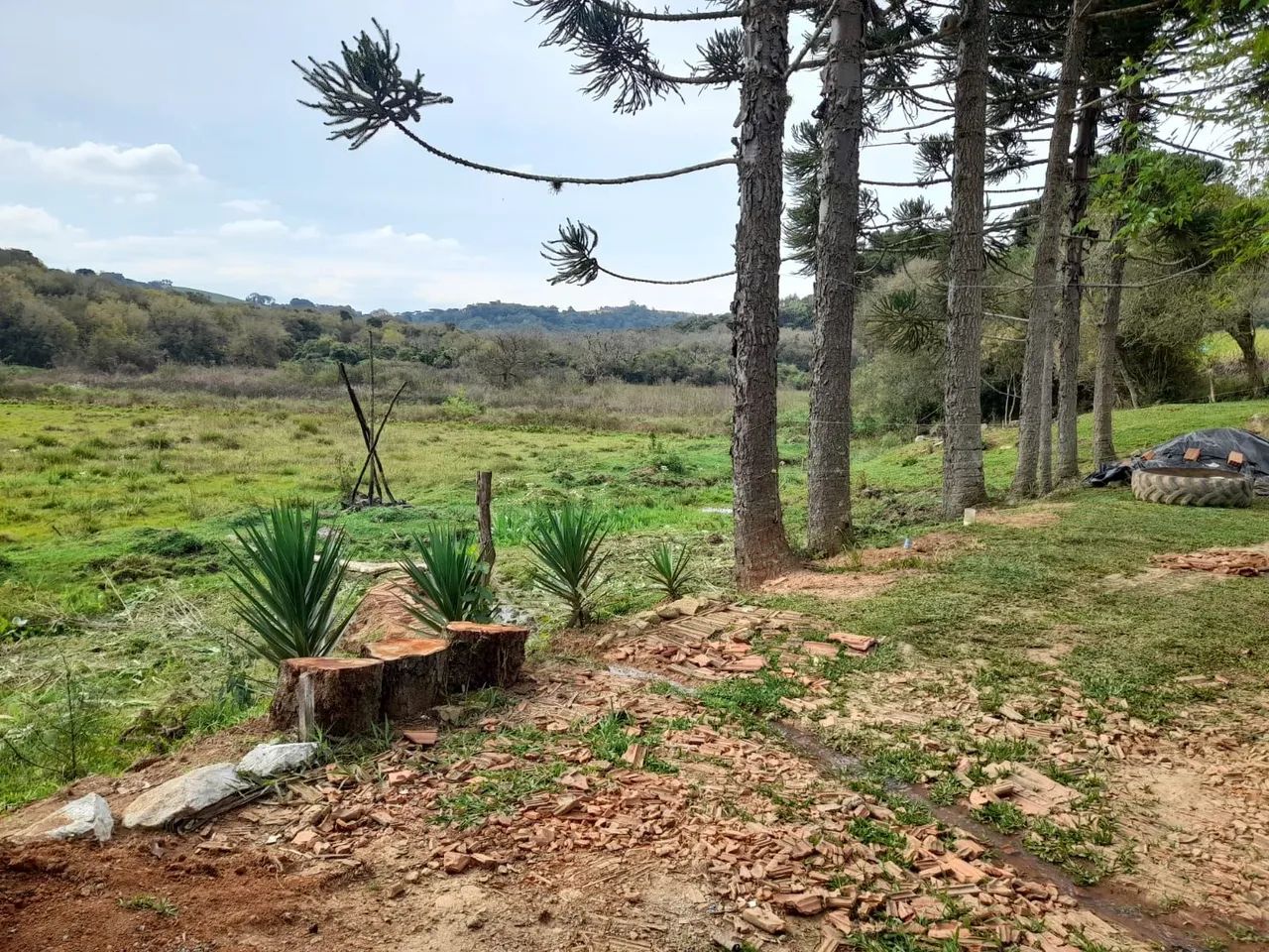 Chácara a venda - Foto 5