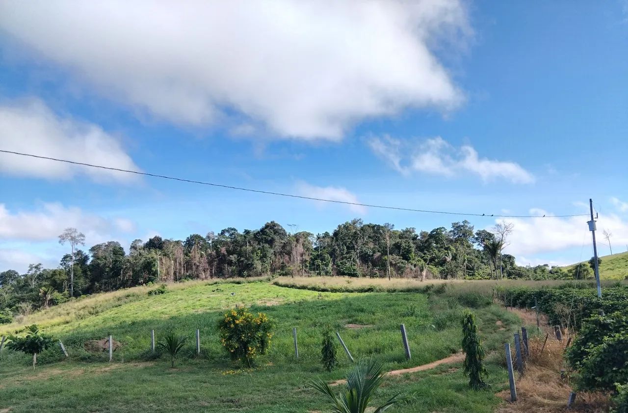 Rancho de 5 alqueires proximo à 50 km de MARABÁ-PA PA - Foto 2