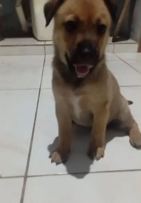 ESTOU DOANDO  - Foto 4