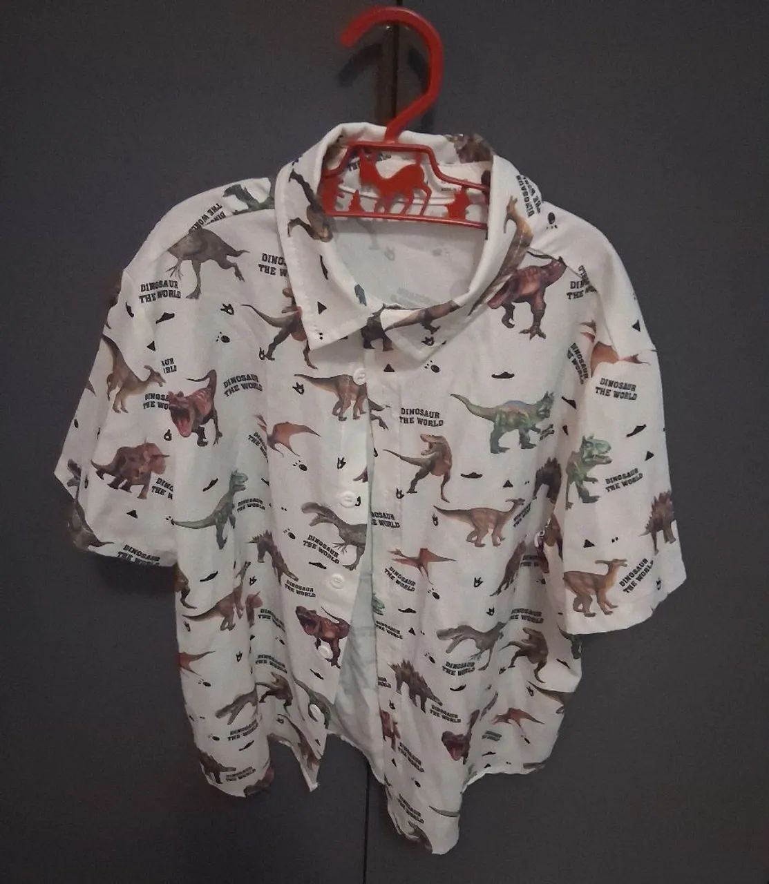 Camisa infantil dinossauros 
