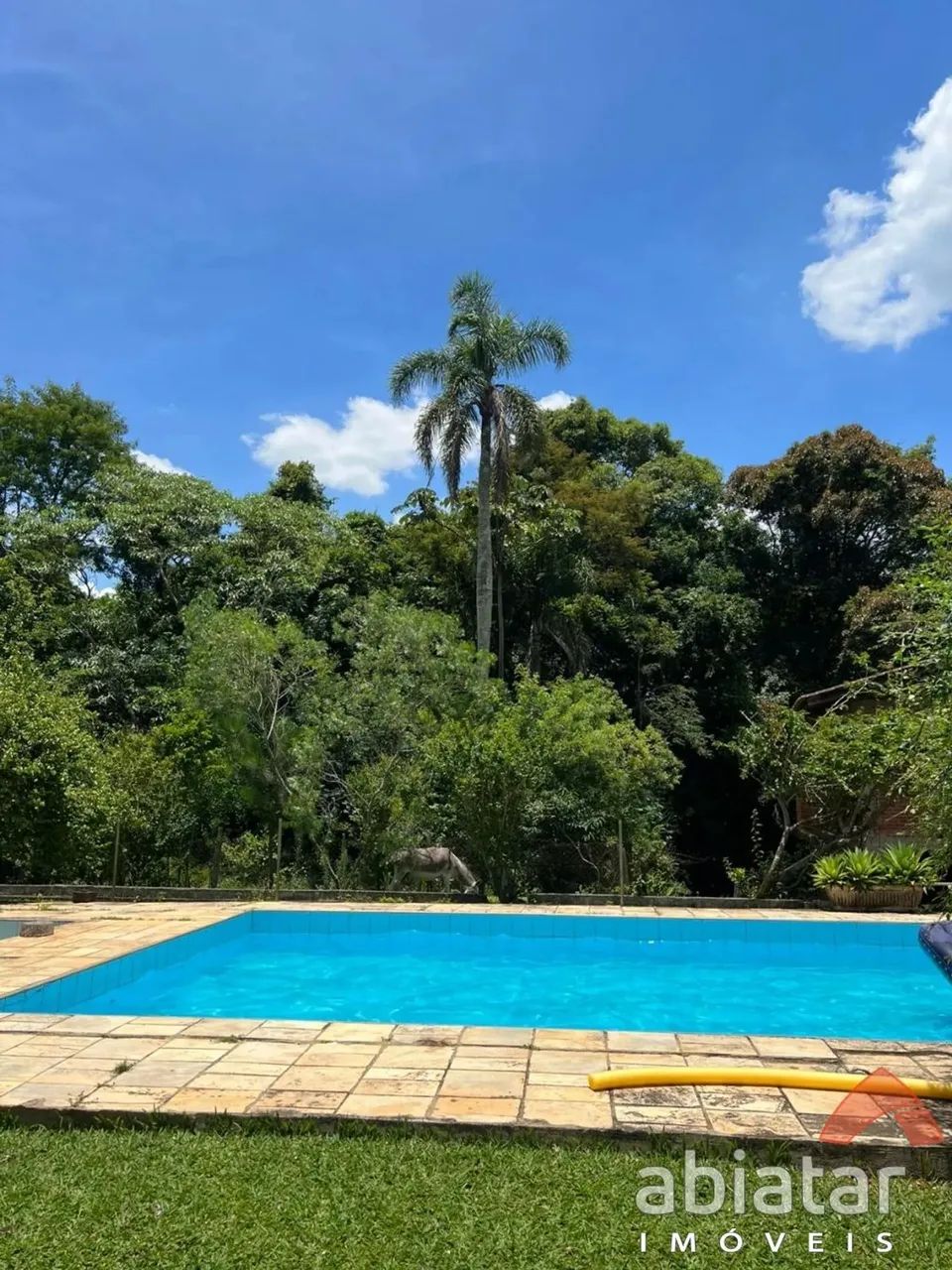 Chácara à venda - Sítio Pinheiros - Itapecerica da Serra - Foto 4
