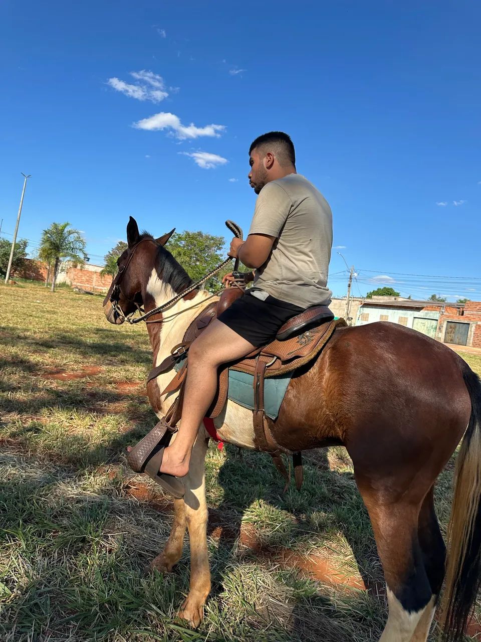 Vendo  cavalo pampa  mangalarga  - Foto 3