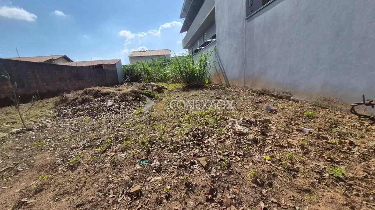 terreno - Jardim dos Oliveiras - Campinas - Foto 2