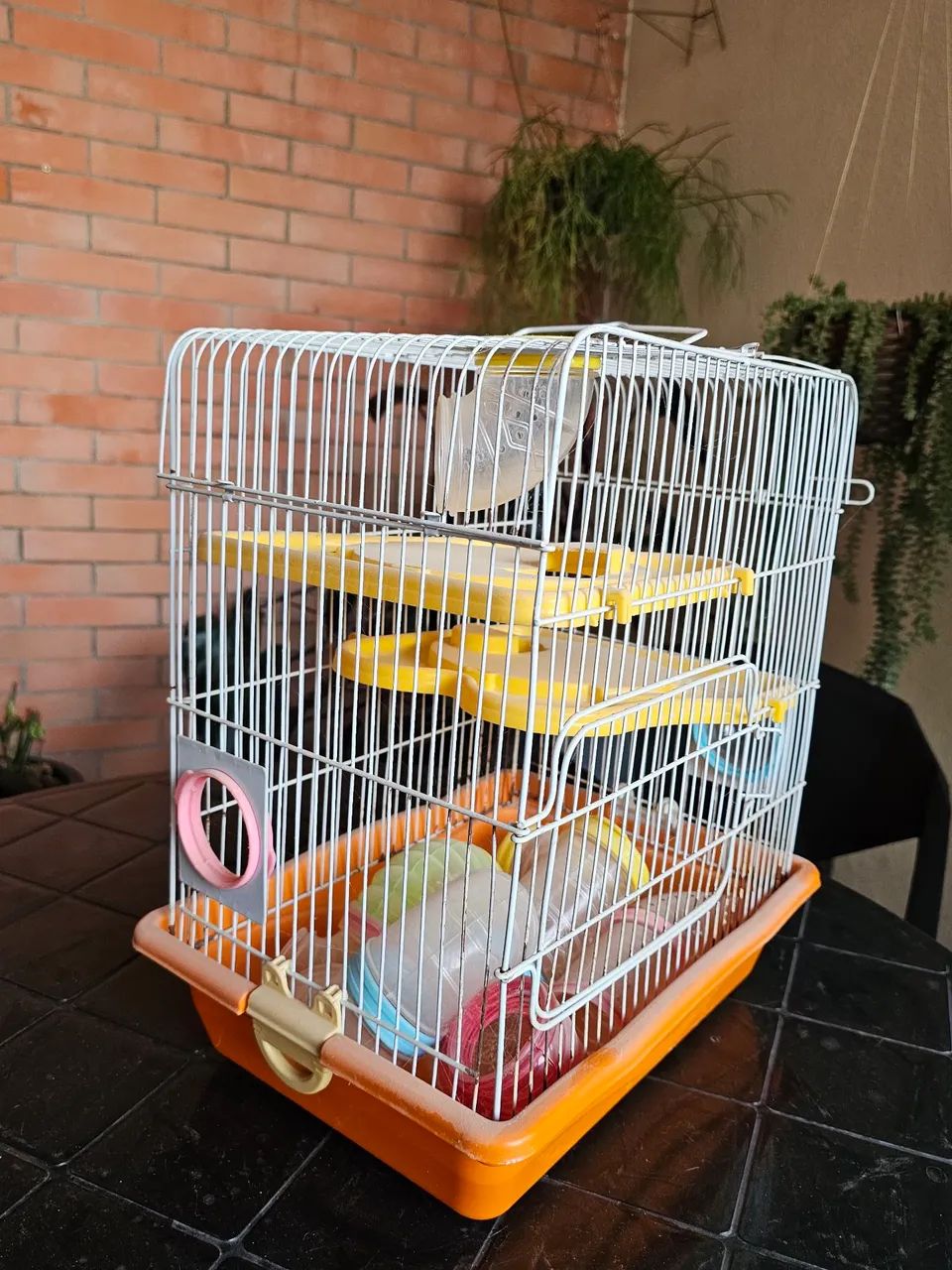 Gaiola hamster tubos (leve duas pelo preço de uma) em JUNDIAÍ.  - Foto 2