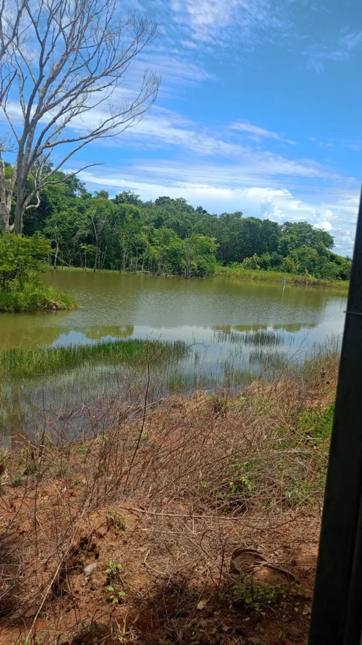 Vende-se chácara no Rochedo  - Foto 5
