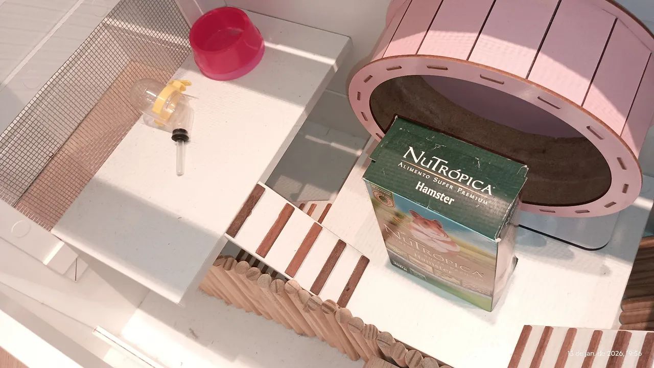 Terrário para hamster65093264873346124