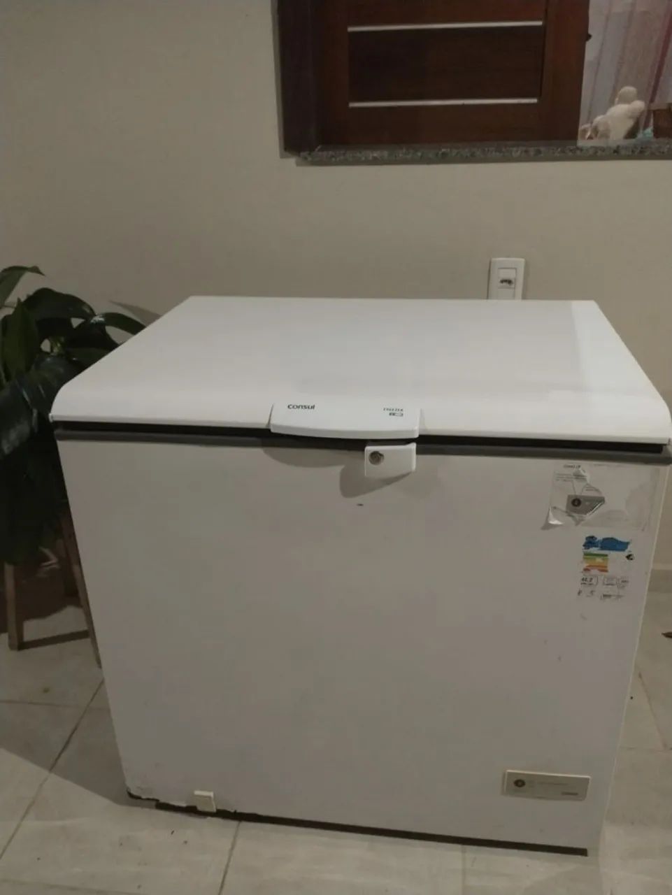Freezer cônsul 
