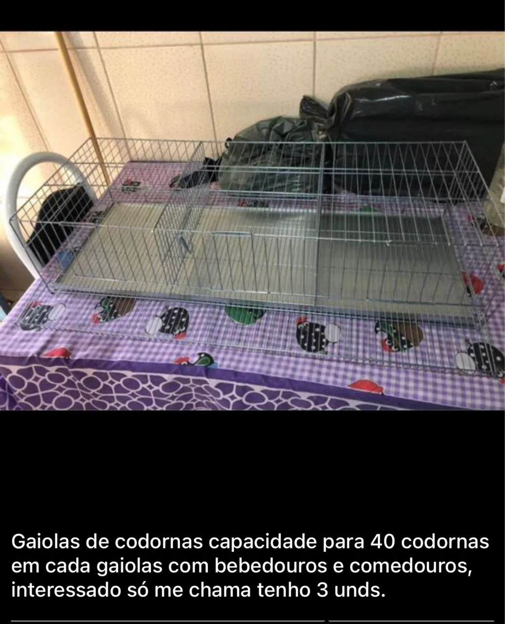 Gaiolas para Codornas  - Foto 4
