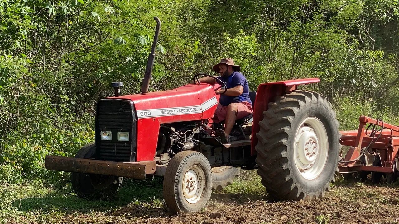 Trator Massey Ferguson modelo 290