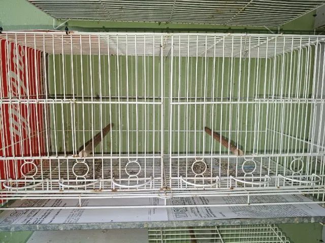 Vendo criadeiras de 6 comedouros em epox e fundo estendido e gaiola em epox.! - Foto 2