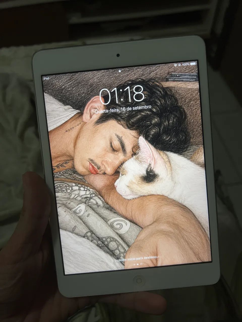 iPad Mini 2  - Foto 2